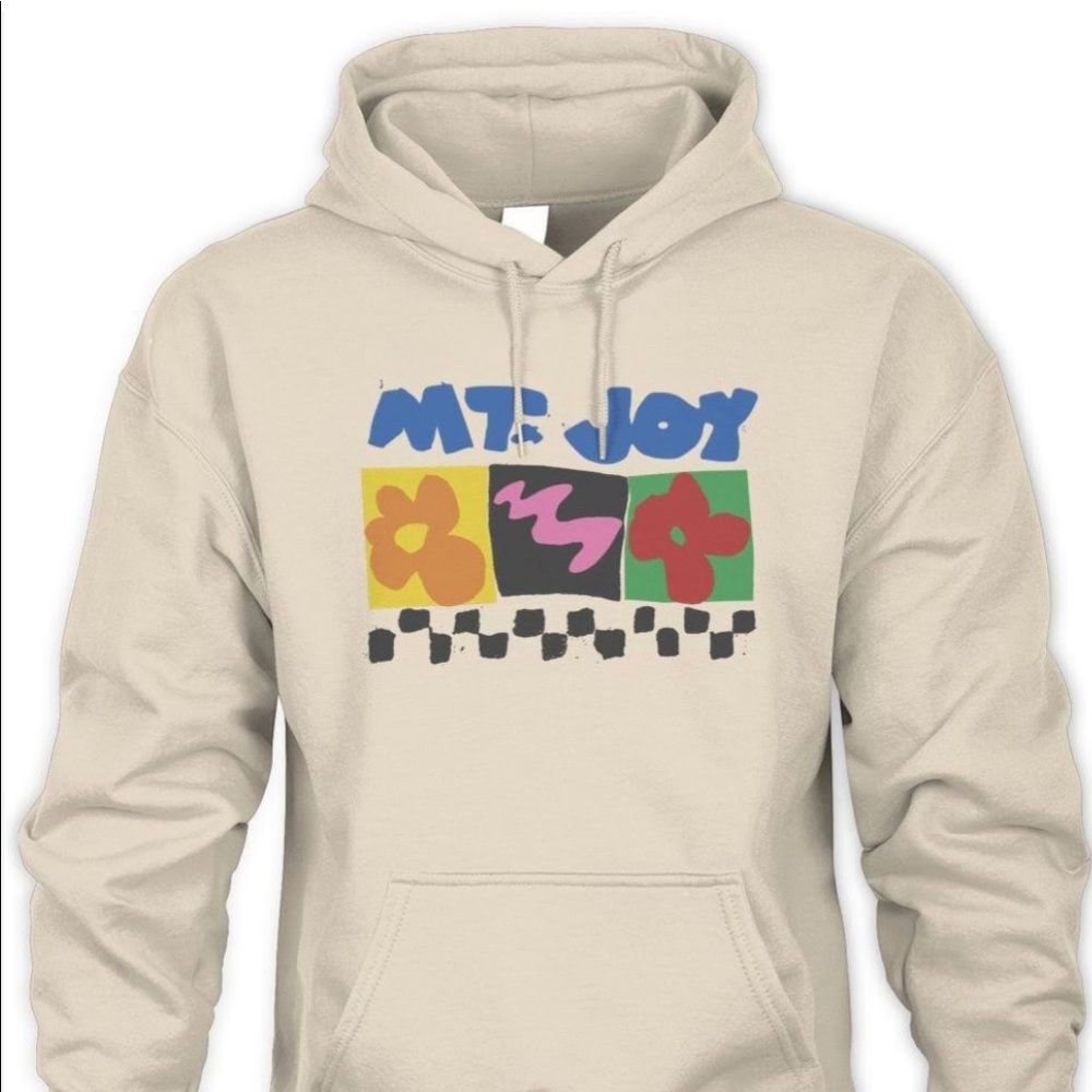 mt joy sweatshirt